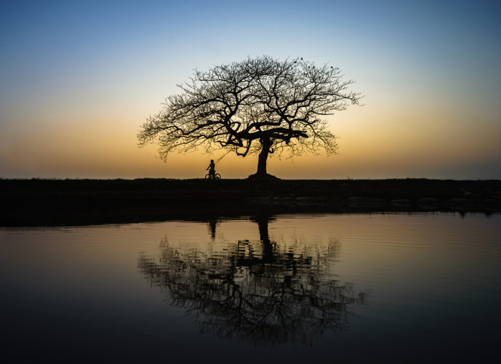The Perils Of Co-Habiting With Your Hobby 1 Beautiful Landscape With Tree Silhouette And Reflection At Sunset With Alone Girl And Bike Under The Tree