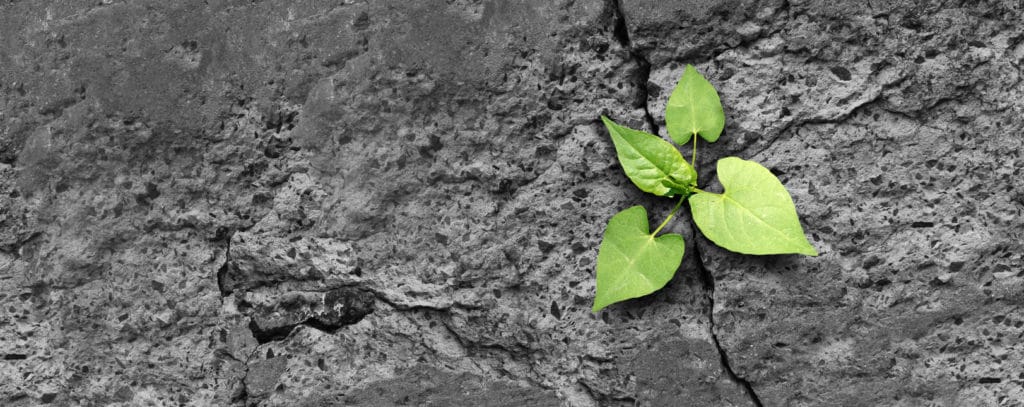We Need To Talk About Post Traumatic Growth 1 Post Traumatic Growth