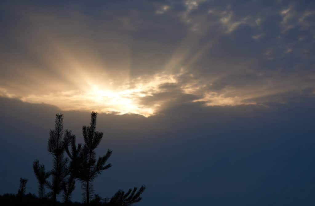 How To Support Yourself When Suffering From Seasonal Affective Disorder 1 Seasonal affective disorder