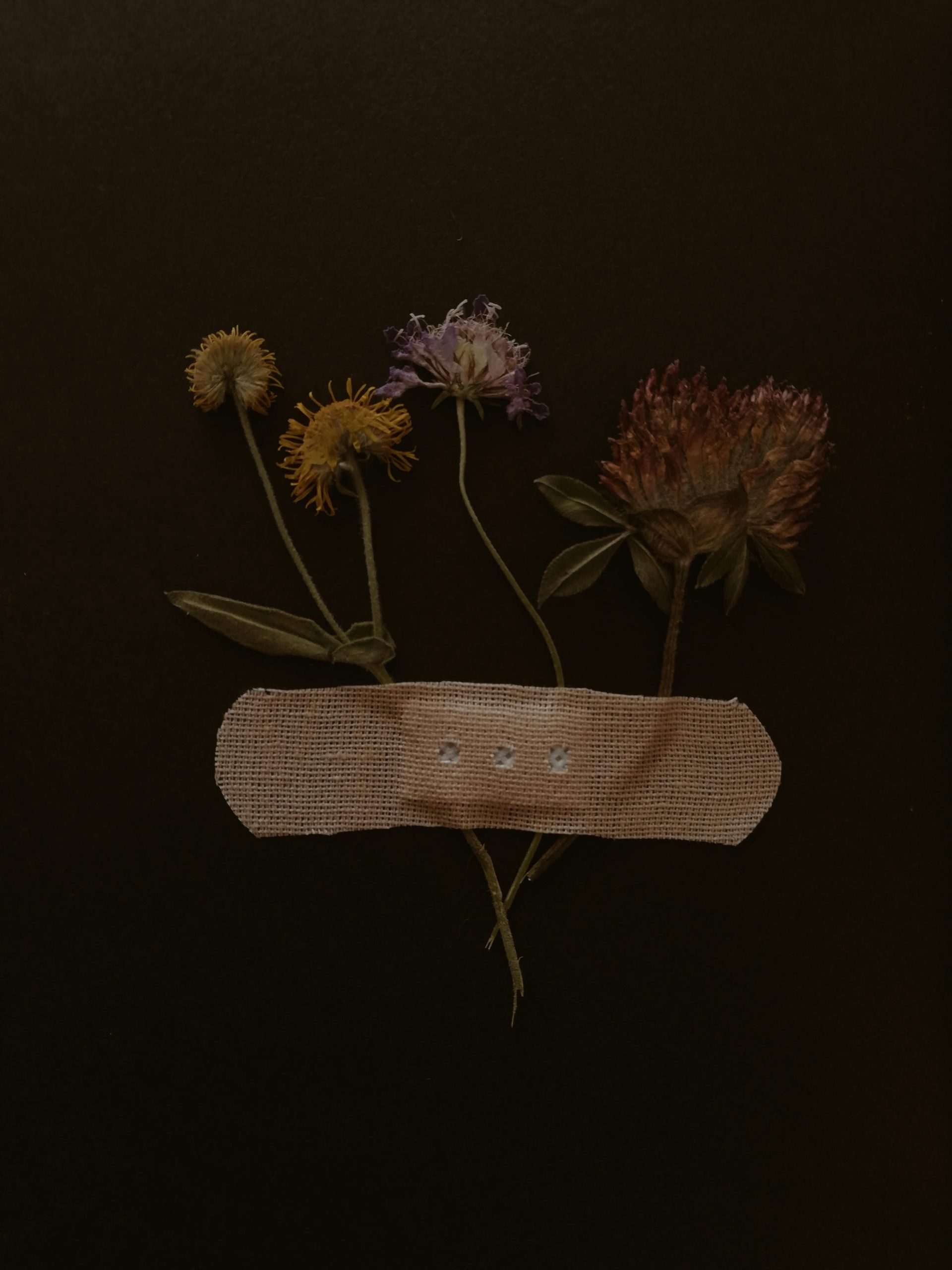 The Wisdom of the Nervous System: How Trauma Can Become a Source of Deep Insight and Growth 5 The Wisdom of the Nervous System: How Trauma Can Become a Source of Deep Insight and Growth