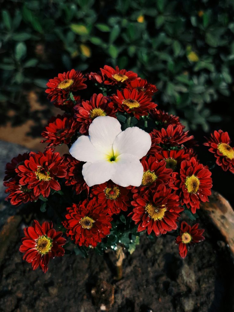 Feeling ‘Too Much’ or ‘Not Enough’: An Existential Lens on Neurodivergence 1 Neurodivergence, Authenticity and Belonging: An Existential Psychotherapy Perspective